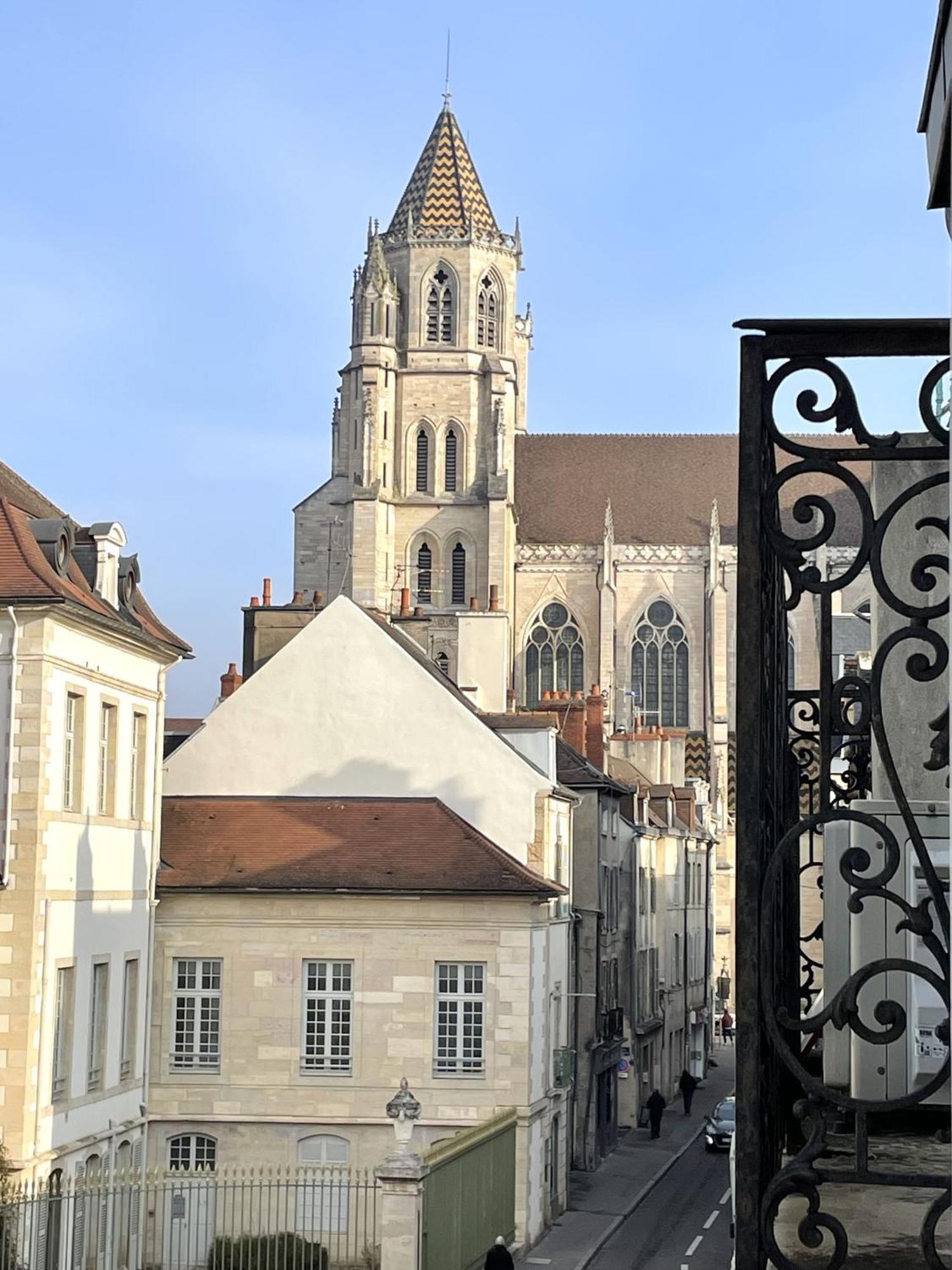 Sous Le Chene Bleu - Appartement Cosy Au Coeur De Dijon Kültér fotó